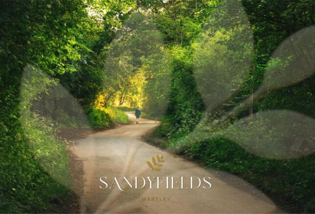 Sandyfields
