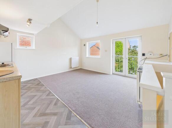 Kitchen/Living Area