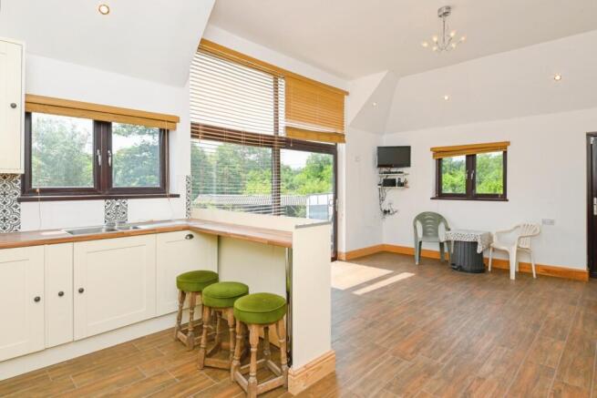 Kitchen/Living Area