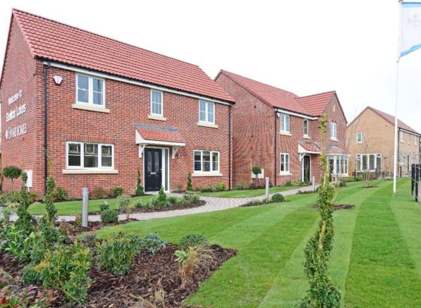 Show Home Image