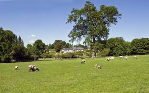 Easterlands, Sampford Moor Road, Sampford Arundel, Wellington TA21 9QE