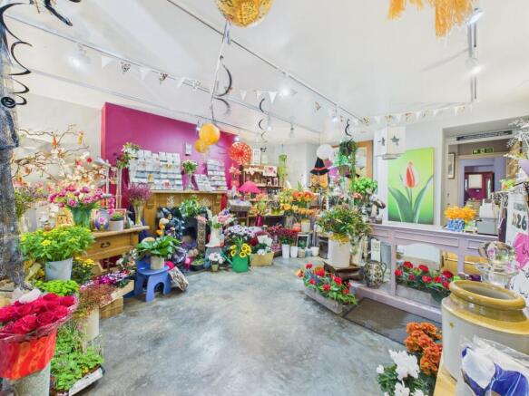 Front Shop Display Room