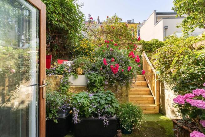 garden (1).jpg