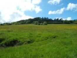 Mincombe Farm, Road Past Sandcombe Farm, Sidbury EX10 0QN