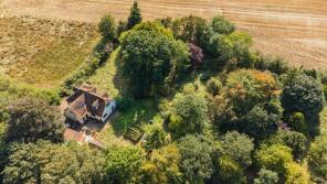 Titus Orchard, Tituswell Lane, Good Easter, Chelmsford CM1 4QA