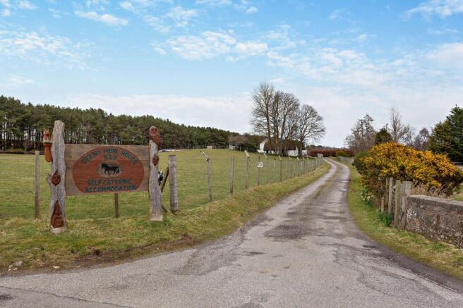 Entrance Driveway