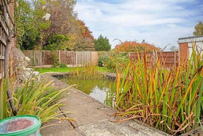 Raised Pond and S...
