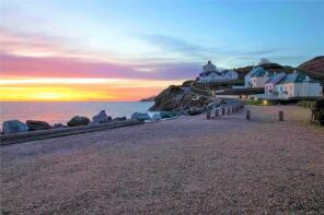 Guillemot, Bickerton Top To Hallsands, Kingsbridge TQ7 2EX