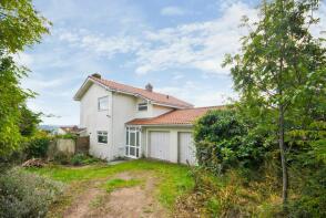 Golden Sedge, Street End, Blagdon BS40 7TL