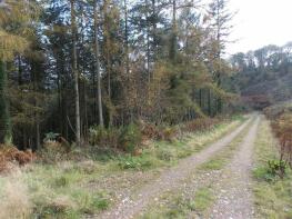 Holnest Cottage, Lane To Holnest Farm, Colyton EX24 6DH
