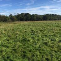 Griana Bach, Llyn Du Crossroads To Kennels, Holywell CH8 8PR