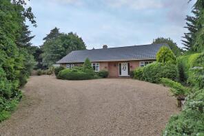 Willow End, Diss Road, Diss IP22 5TS