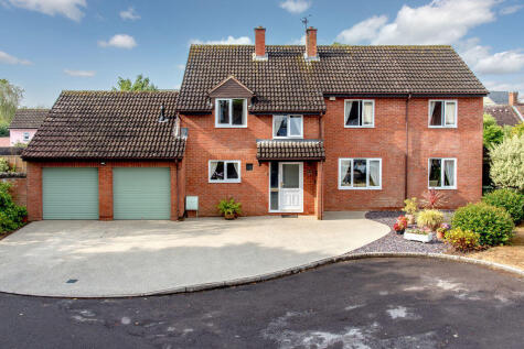 Lodwells Orchard, North Curry, Taunton