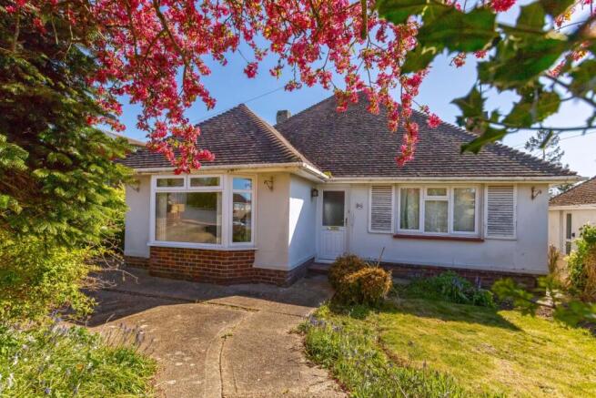 Ivydore Avenue_19