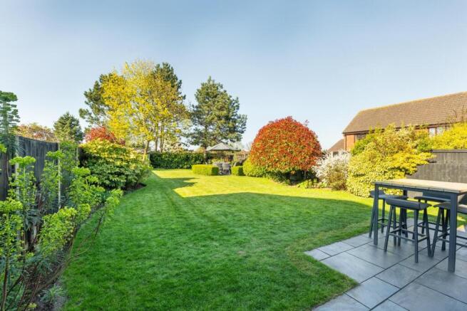 garden-2.jpg