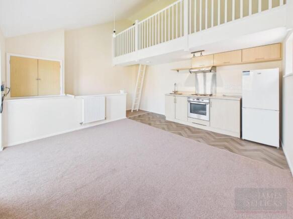 Kitchen/Living Area