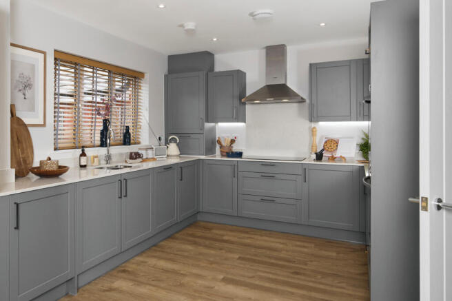 Lavender example imagery (7)