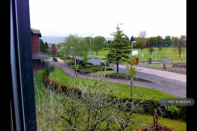 View Of The Park From Back Room