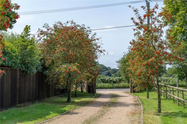Driveway