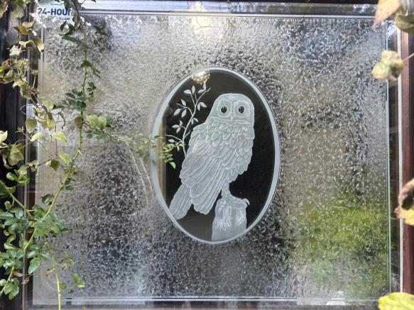 Feature Owl Glass