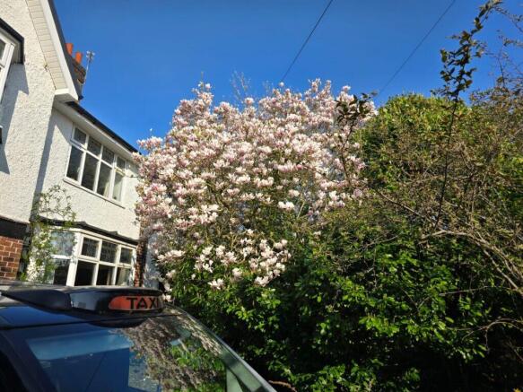 Rutter Green estate agents providing residential a