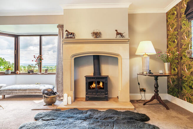 Feature Fireplace