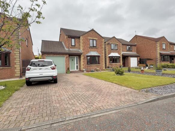 IMG_1028