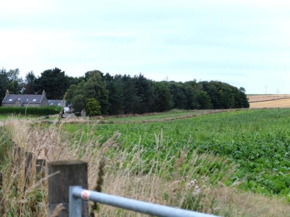 Site