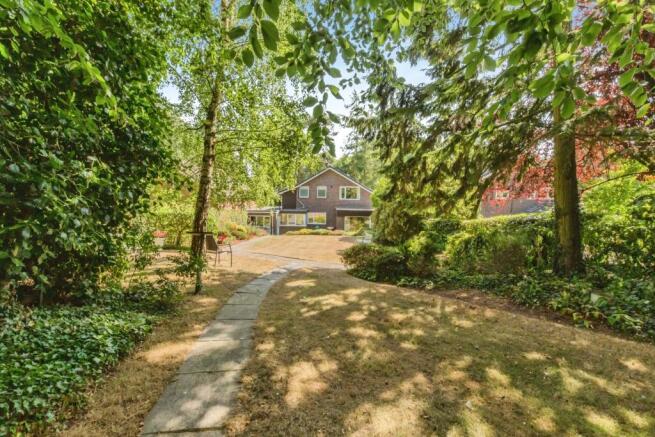 pbox-IMG.jpg