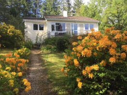 Pine Cone Cottage, B8007 Eador Allt Drive - Glenborrodale Hotel Access, Glenborrodale, Acharacle PH36 4JP