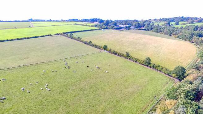 DJI_0248.jpg
