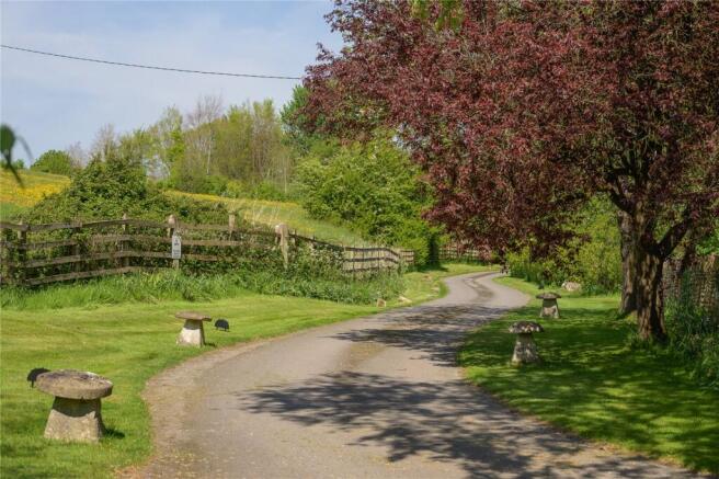 Driveway