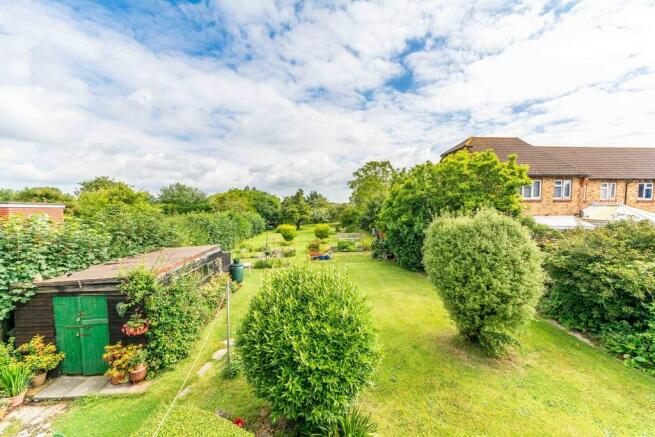 Back garden