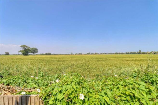 Field Views