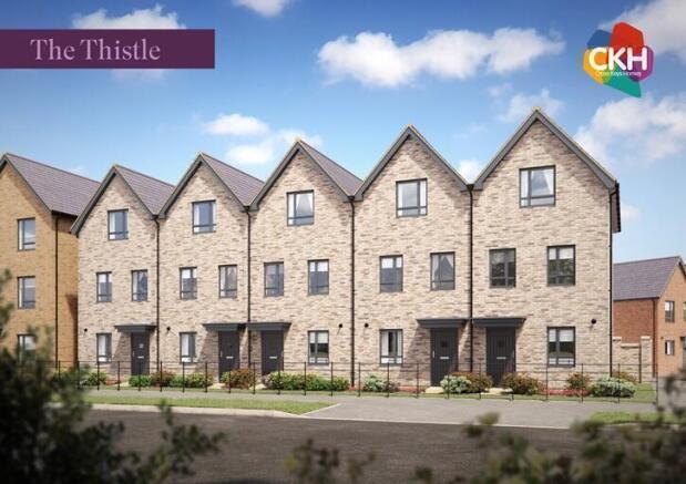 The Thistle