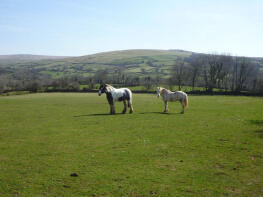 Midlands Farm, Road From Dowerland Farm To Dingles Farm, Horndon, Tavistock PL19 9NQ