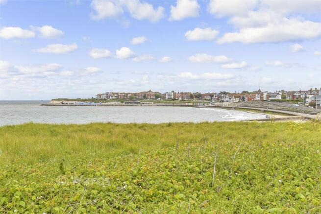 Surrounding Area