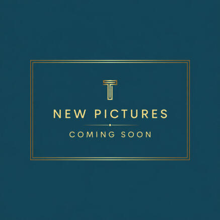 New Pictures comi...