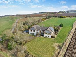 Hedgehogs, Kinbeachie - Wester Brae, Culbokie IV7 8LS