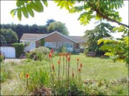 Sandy Rise, Mill Lane, Woodbridge IP12 3LL