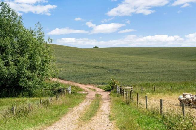 Land