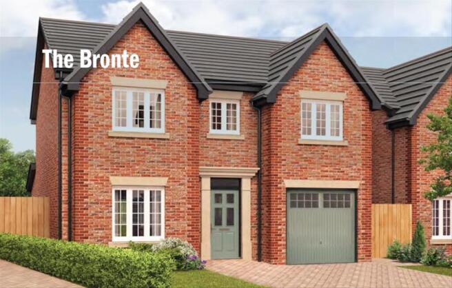 The bronte