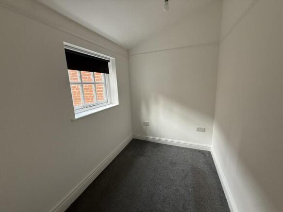 3  Medium  T202609231615.jpg