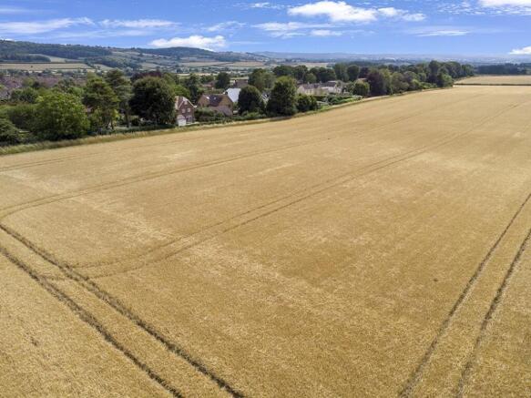 DJI_0427.jpg