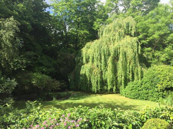 summer garden.jpg