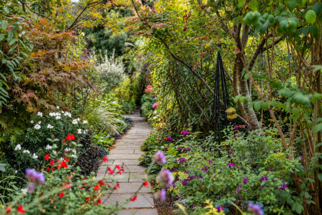 Rear Garden.png