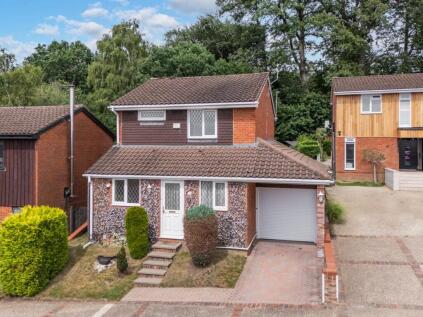 Greenham Wood, Bracknell, RG12