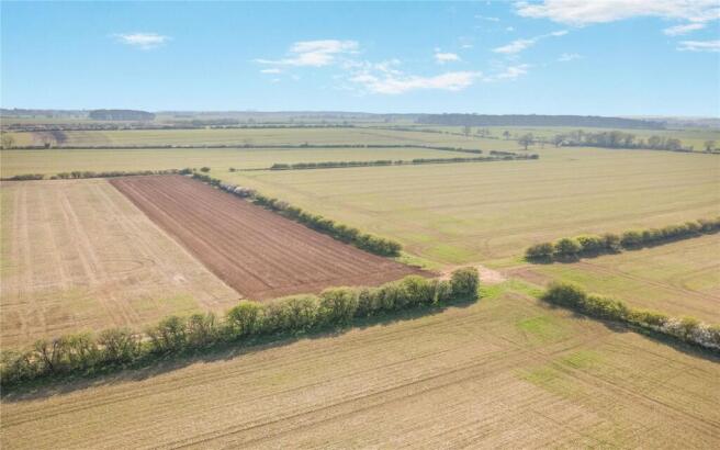 Farmland