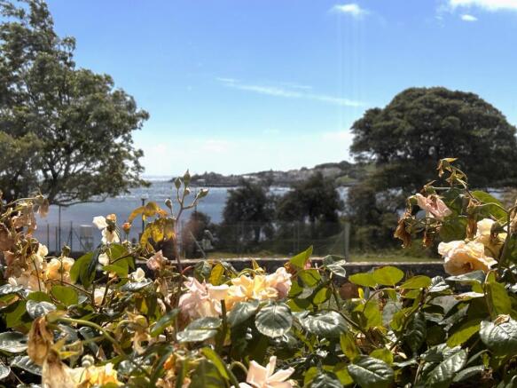 View from flat