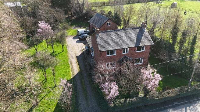 dji_fly_20260304_122016_0433_1772627011578_photo.j